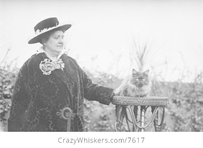 Mrs a Mcallister and Cat - #Edt4YcwFQW4-1