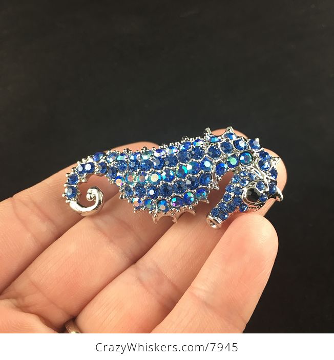 Sold Stunning Blue and Silver Seahorse Pendant and Brooch Jewelry - #gWHBMp1a1LY-5