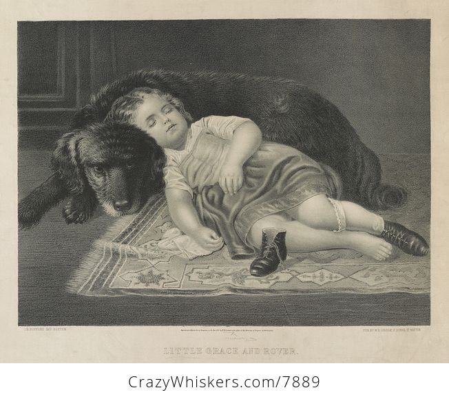 Vintage Digital Image of a Tired Girl Sleeping Against Her Dog Little Grace and Rover C1872 - #a3znw8ZEWT8-2
