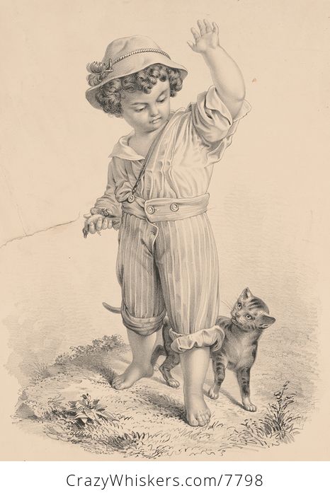 Vintage Digital Image of a Boy Playing with a Frisky Cat - #AlzqQMf15dw-1