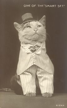 Vintage Digital Image of a Cat in a Suit #UEQNCt10UTQ