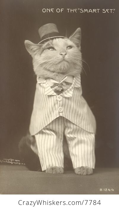 Vintage Digital Image of a Cat in a Suit - #UEQNCt10UTQ-1