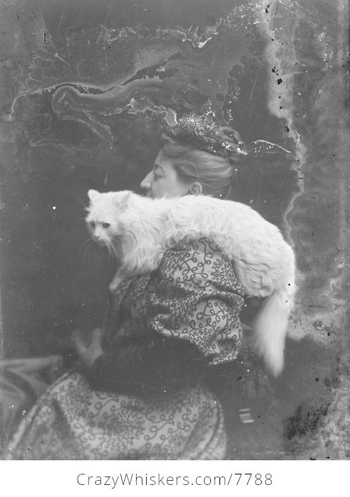 Vintage Digital Image of a Cat on a Womans Shoulder - #wjnQgyL4gMQ-1