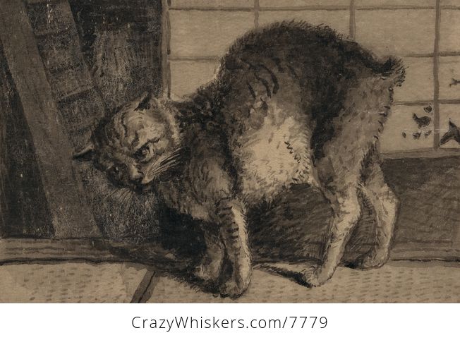 Vintage Digital Image of a Cat with a Bob Tail - #LWCvCh40sSk-1