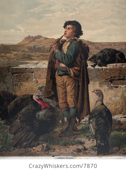 Vintage Digital Image of a Dog by a Boy Playing a Recorder and Turkeys Gathering the Flock - #owAs8QvYzQo-1