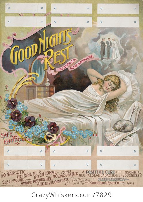 Vintage Digital Image of a Dog Curled up on a Chair by a Sleeping Woman on a Vintage Advertisement - #G7nGGCNIQd8-1