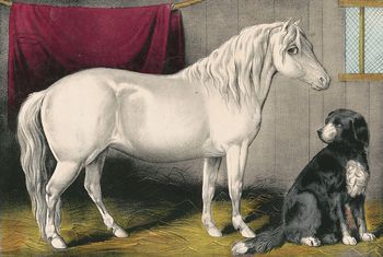 Vintage Digital Image of a Dog Sitting by a White Pony #idTXEq2JGhs