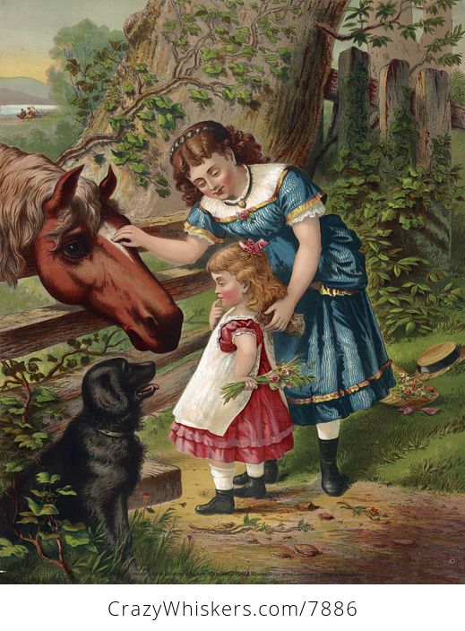 Vintage Digital Image of a Dog Watching a Girl Showing Her Sister How to Pet a Horse - #uNkY8XmnFB4-1