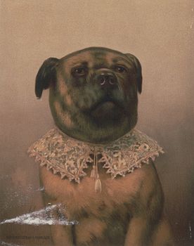 Vintage Digital Image of a Dog Wearing a Fancy Collar #FHfOHaoJBek