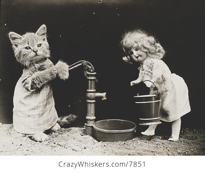 Vintage Digital Image of a Doll and Kitten Pumping Water - #Xc9CyXtJLBY-1
