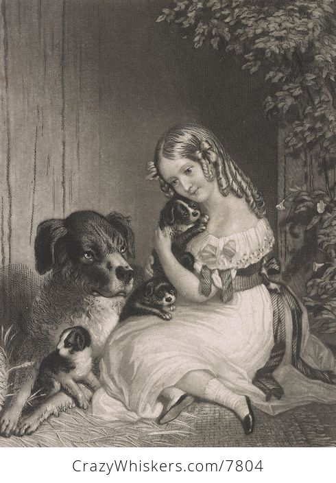 Vintage Digital Image of a Girl Cuddling with a Dog and Puppies - #6NHG51nY6ro-1