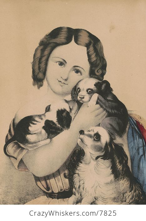 Vintage Digital Image of a Girl Cuddling with Puppies C Between 1842 and 1870 - #1nEERUt4e1E-1