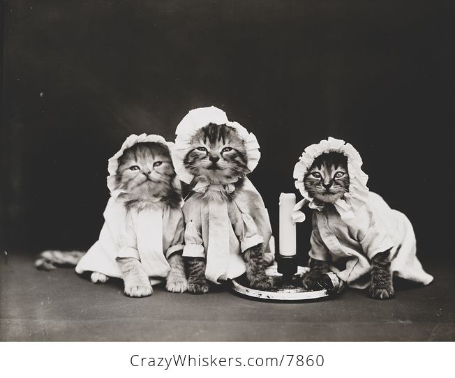 Vintage Digital Image of a Group of Kittens in Pjs Around a Candle - #bgLscWUwz4Q-1