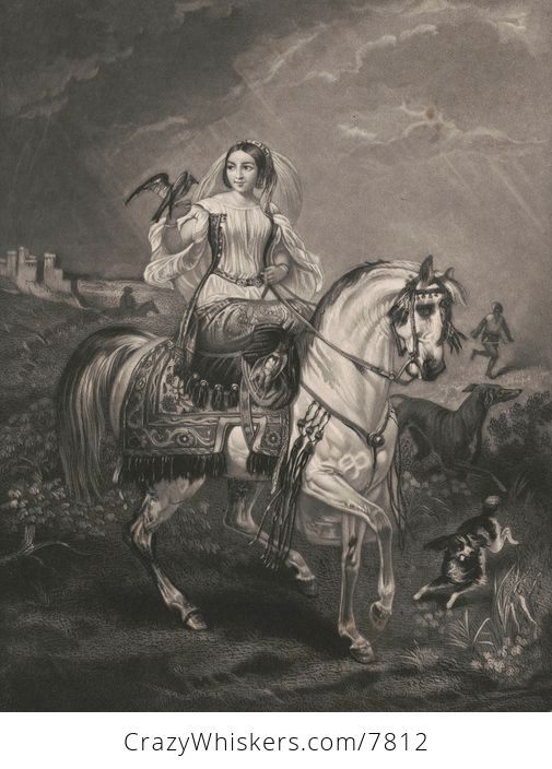 Vintage Digital Image of a Horseback Woman Holding a Bird on Her Hand with Dogs Around Her C Between 1840 and 1842 - #FdqKrPYhGcs-1
