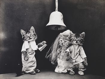 Vintage Digital Image of a Kitten Marrying a Couple #U27gg4kW4fM