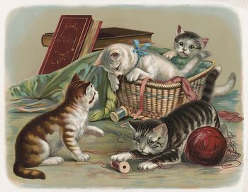 Vintage Digital Image of a Litter of Kittens Playing with Thread and Yarn #FBt6ZWNCxFY