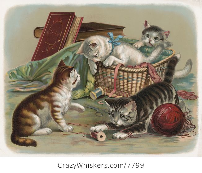 Vintage Digital Image of a Litter of Kittens Playing with Thread and Yarn - #FBt6ZWNCxFY-1