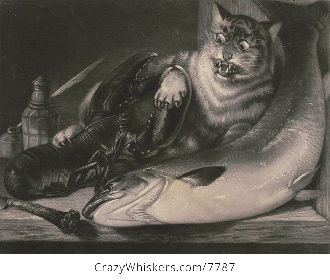 Vintage Digital Image of a Lobster Pinching a Cat by a Fish - #DaP19fL2ZuU-1