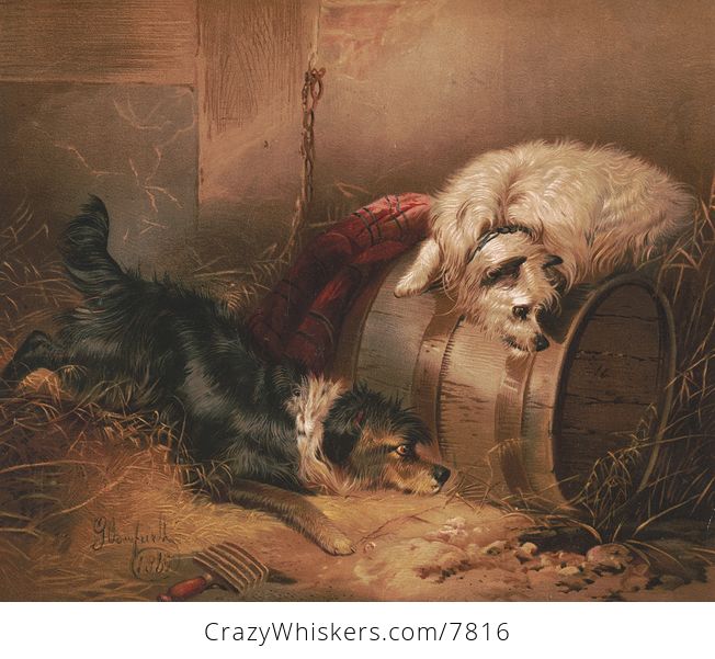 Vintage Digital Image of a Pair of Dogs Watching a Hole in the Ground C 1865 - #qHeyHlYcOos-1