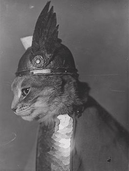 Vintage Digital Image of a Profiled Cat Wearing a Viking Helmet #tYQU9KpKErs
