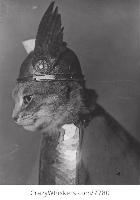 Vintage Digital Image of a Profiled Cat Wearing a Viking Helmet - #tYQU9KpKErs-1
