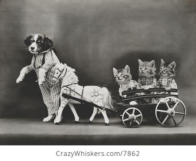 Vintage Digital Image of a Puppy Pulling Kittens in a Wagon - #qPwun3grZVo-1