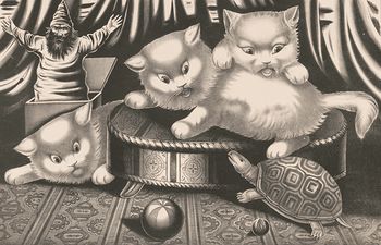 Vintage Digital Image of a Turtle and Scared Cats #sKUNIHCFKEU
