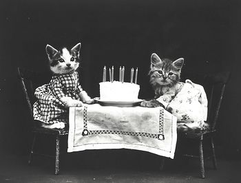 Vintage Digital Image of Kittens and a Birthday Cake #p2kMYRhbHko
