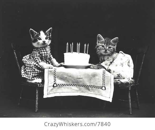 Vintage Digital Image of Kittens and a Birthday Cake - #p2kMYRhbHko-1