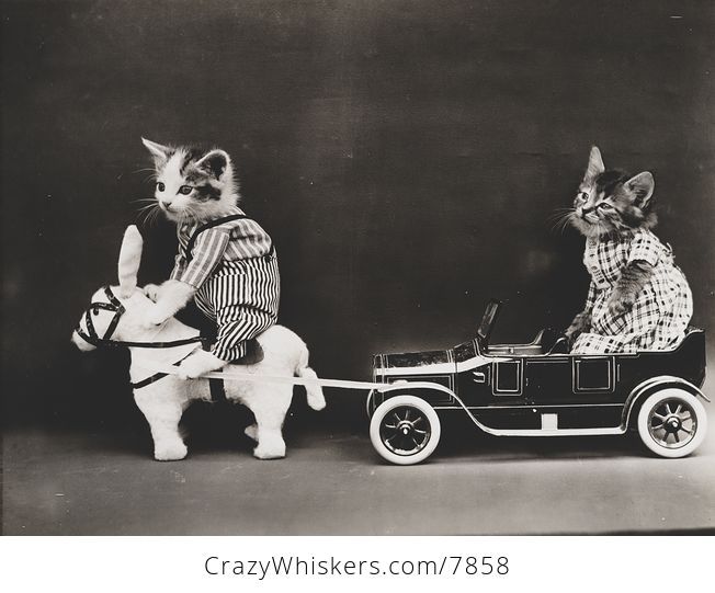 Vintage Digital Image of Kittens Posed Riding a Horse and Car - #0yYZDp4evUY-1