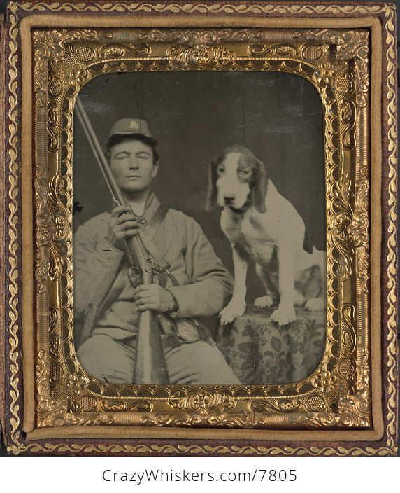 Vintage Digital Photo of a Dog and Unidentified Confederate Soldier Between 1861 and 1865 - #iSwku4U4rF4-1