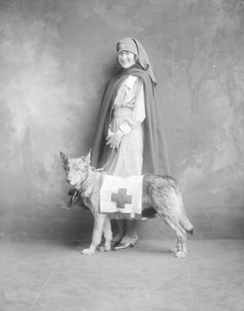Vintage Digital Photo of a Nurse with a Dog Taken Between 1915 and 1918 #8oNJcQlnl2o