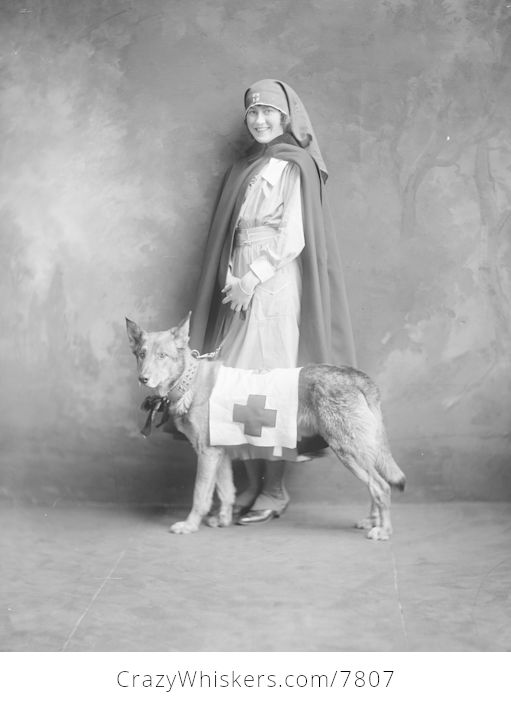 Vintage Digital Photo of a Nurse with a Dog Taken Between 1915 and 1918 - #8oNJcQlnl2o-1