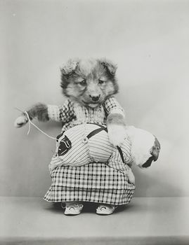 Vintage Digital Photo of a Puppy Dog Sewing on a Patch #ujKUbiW15v4