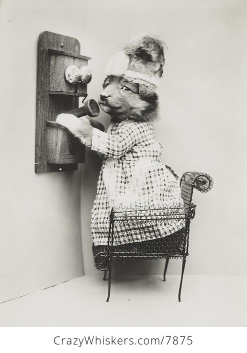 Vintage Digital Photo of a Puppy Dog Talking on a Telephone - #YcM0YPKGYZc-1