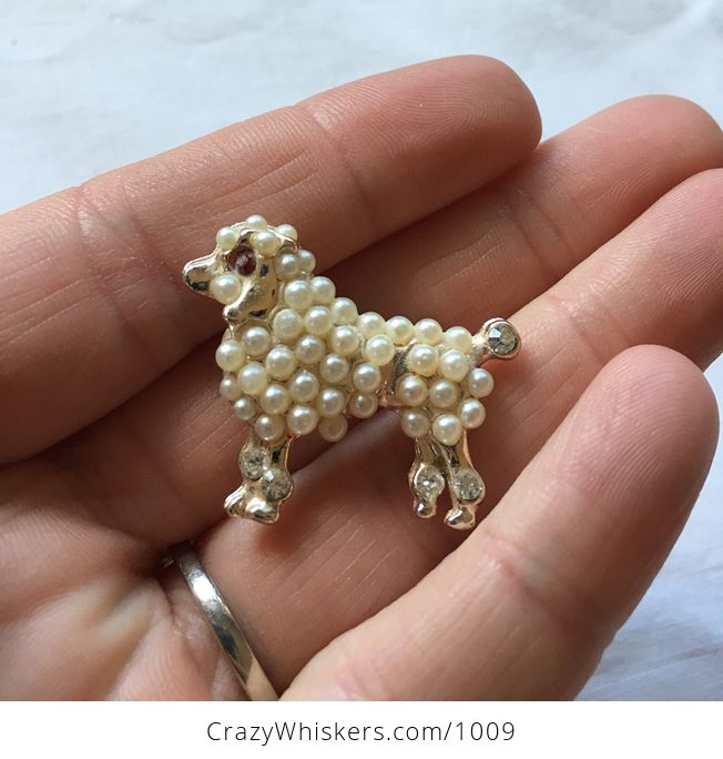 Vintage Gold Toned Pearly Poodle with Red Ruby Eye Brooch Pin - #bMOvqo4kaFg-1