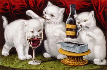 White Cats Drinking Wine #kKi1W9k4EBY