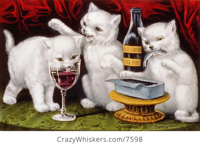 White Cats Drinking Wine - #kKi1W9k4EBY-1