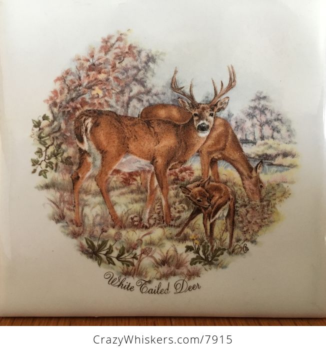 White Tailed Deer Tile Coasters - #u3JiKNv22uA-4
