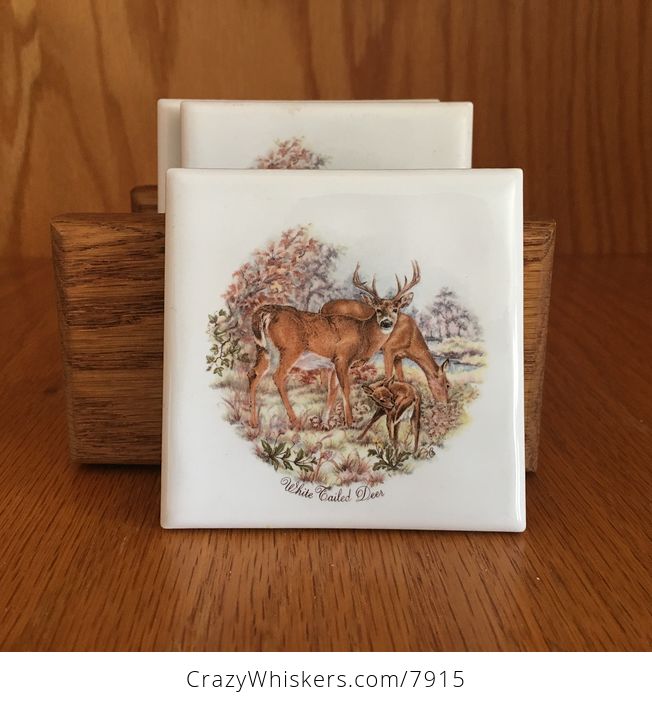 White Tailed Deer Tile Coasters - #u3JiKNv22uA-1