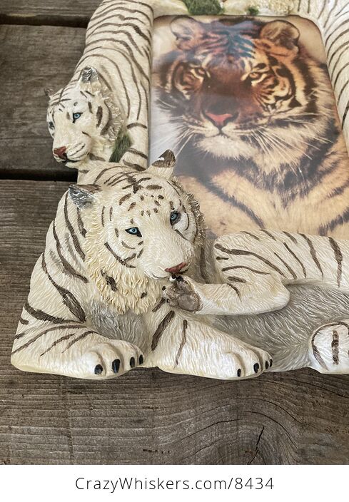White Tiger Picture Frame - #KlO4lyBYQj8-9