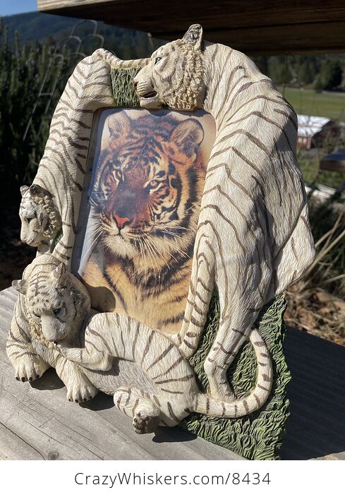 White Tiger Picture Frame - #KlO4lyBYQj8-3
