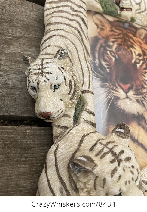 White Tiger Picture Frame - #KlO4lyBYQj8-4