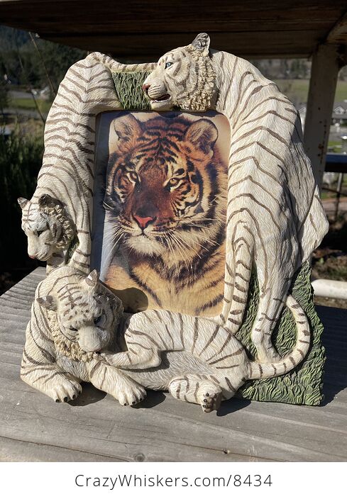 White Tiger Picture Frame - #KlO4lyBYQj8-2
