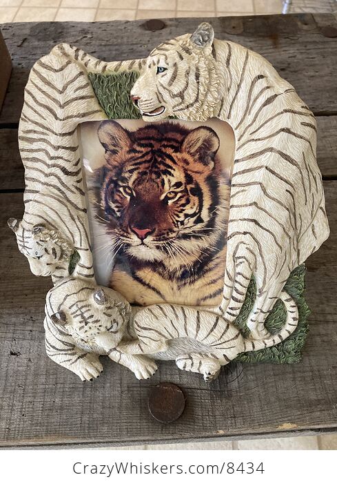 White Tiger Picture Frame - #KlO4lyBYQj8-7