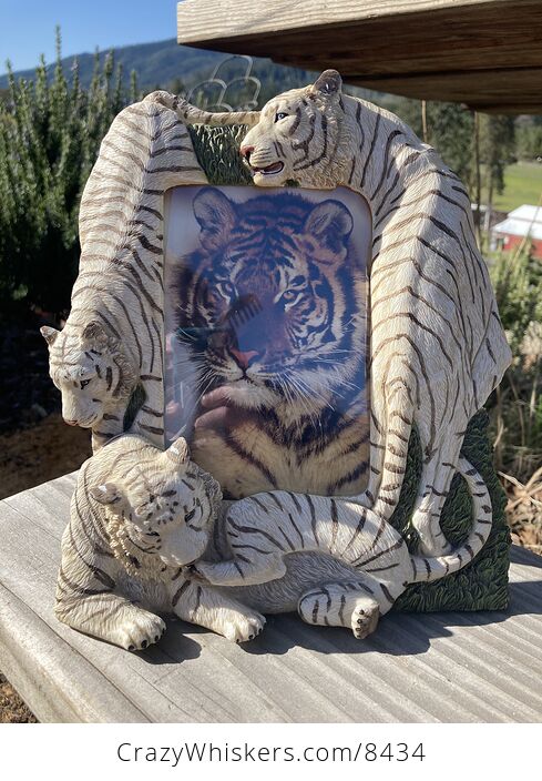 White Tiger Picture Frame - #KlO4lyBYQj8-8