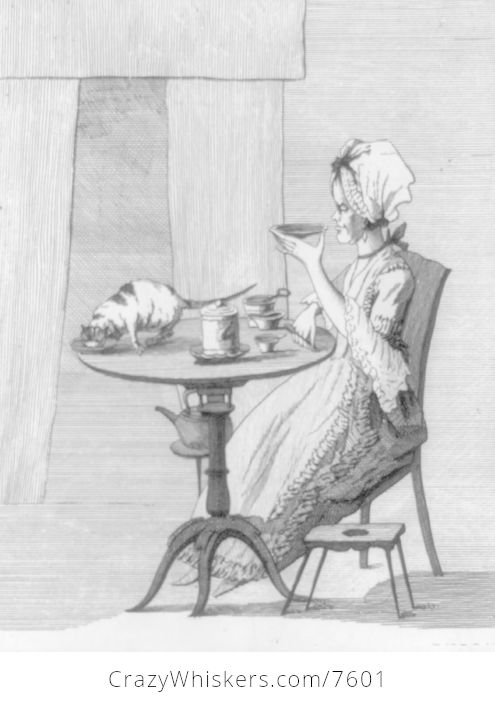 Woman and Cat at Table - #lC4AqKpBSGs-1